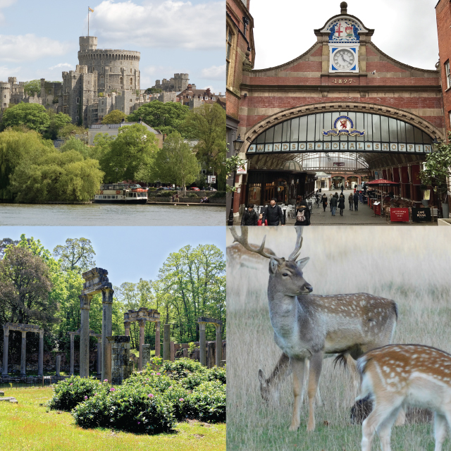 Ferndale-park-near-Bray