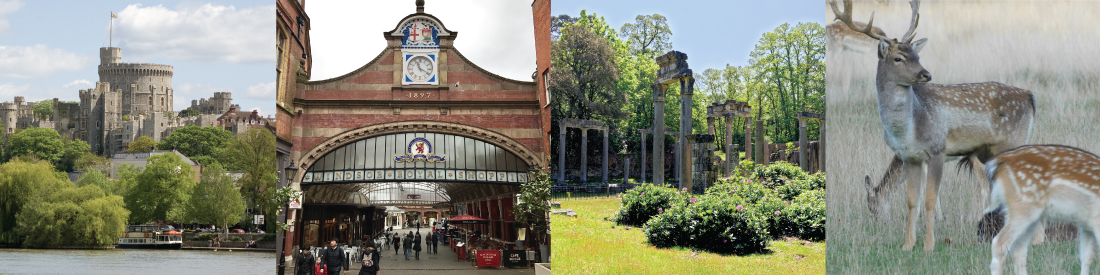 Ferndale-park-near-Windsor